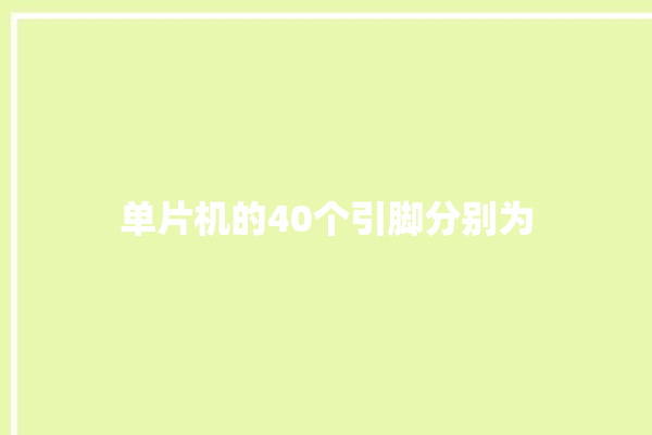 单片机的40个引脚分别为