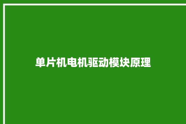 单片机电机驱动模块原理