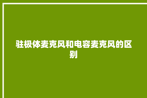 驻极体麦克风和电容麦克风的区别