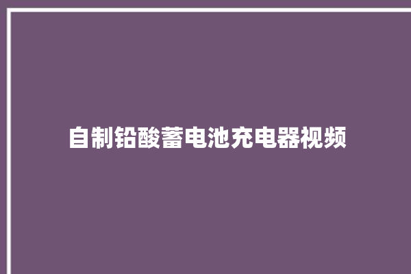 自制铅酸蓄电池充电器视频