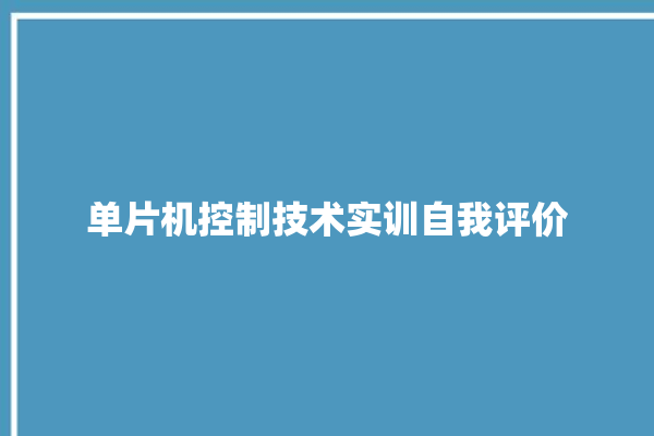 单片机控制技术实训自我评价