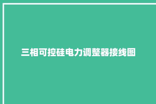 三相可控硅电力调整器接线图