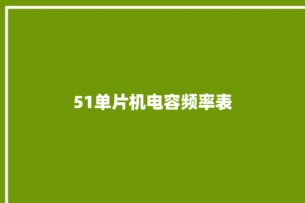 51单片机电容频率表