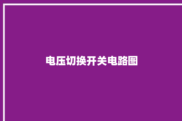 电压切换开关电路图