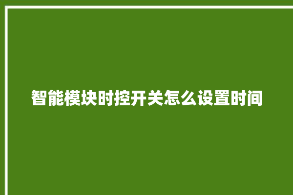 智能模块时控开关怎么设置时间