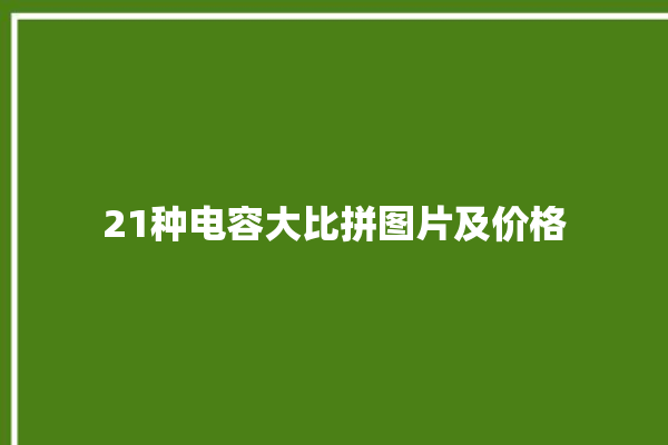 21种电容大比拼图片及价格