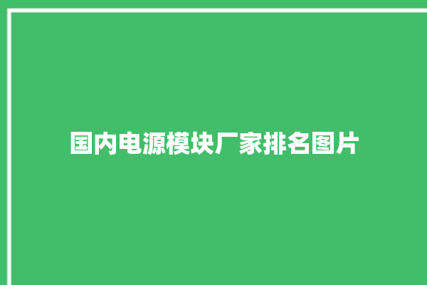 国内电源模块厂家排名图片