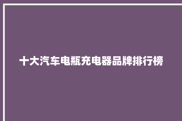 十大汽车电瓶充电器品牌排行榜