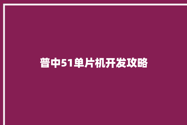 普中51单片机开发攻略