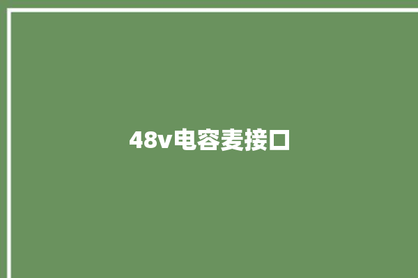 48v电容麦接口