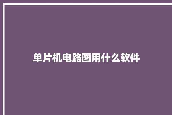 单片机电路图用什么软件