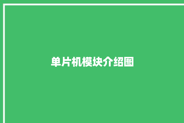 单片机模块介绍图