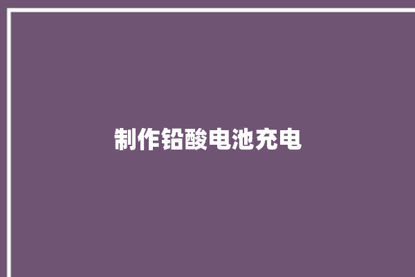 制作铅酸电池充电