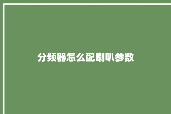 分频器怎么配喇叭参数