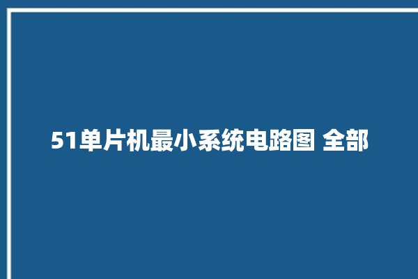 51单片机最小系统电路图 全部