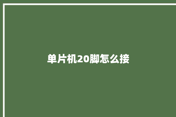 单片机20脚怎么接