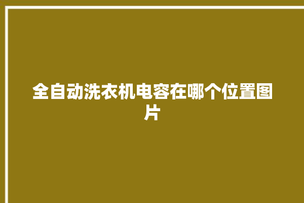 全自动洗衣机电容在哪个位置图片