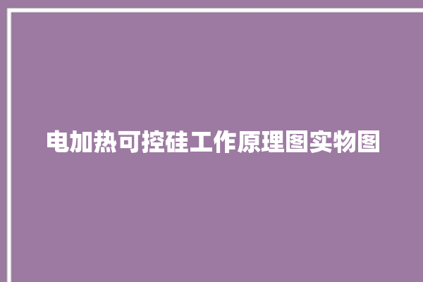 电加热可控硅工作原理图实物图