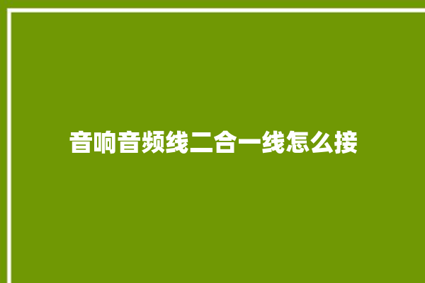 音响音频线二合一线怎么接