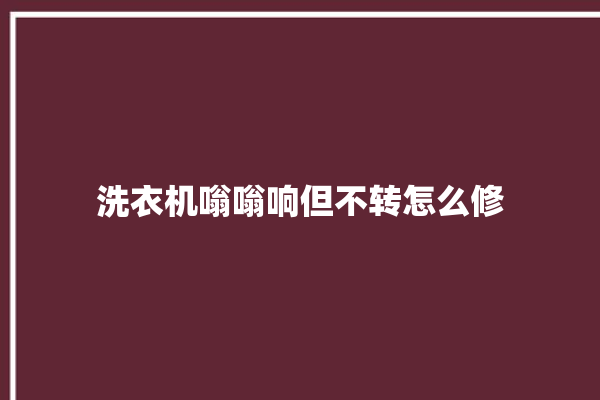 洗衣机嗡嗡响但不转怎么修