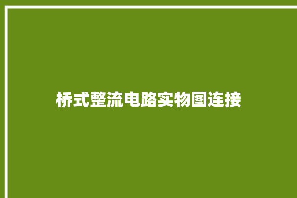 桥式整流电路实物图连接