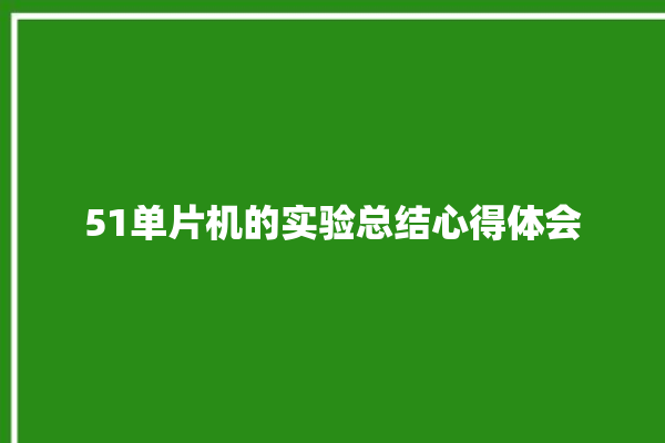 51单片机的实验总结心得体会