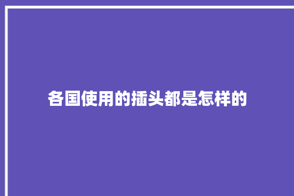 各国使用的插头都是怎样的