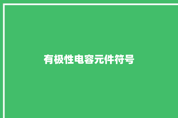 有极性电容元件符号