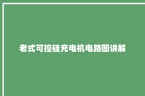 老式可控硅充电机电路图讲解