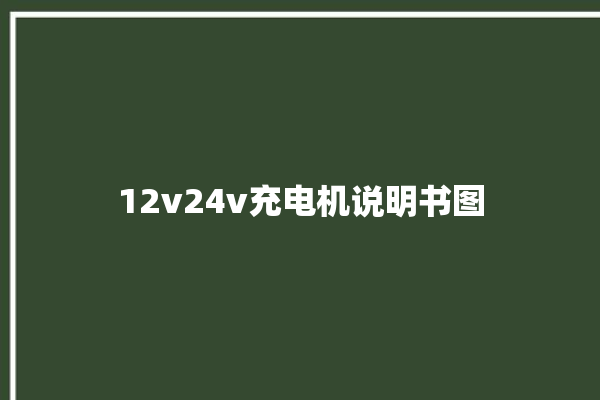 12v24v充电机说明书图