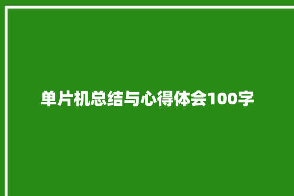 单片机总结与心得体会100字