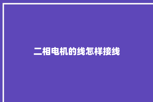 二相电机的线怎样接线