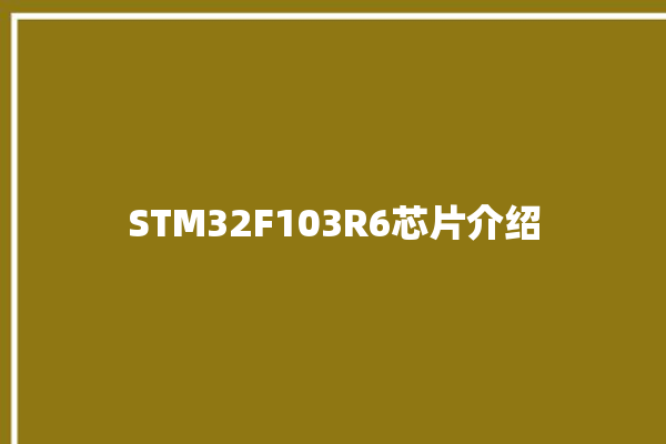 STM32F103R6芯片介绍