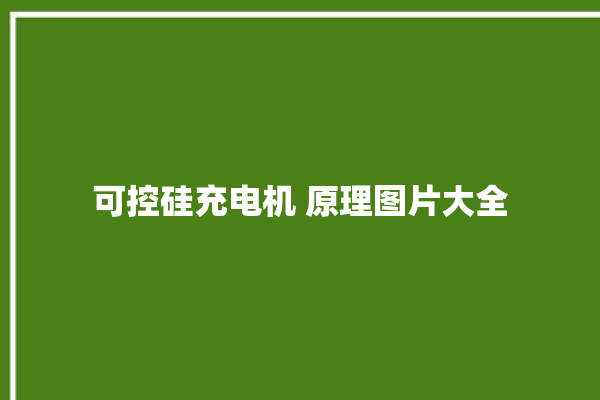 可控硅充电机 原理图片大全