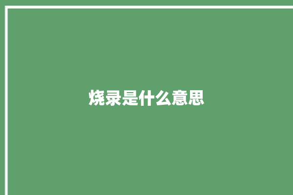 烧录是什么意思