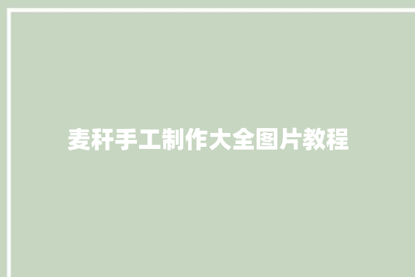 麦秆手工制作大全图片教程