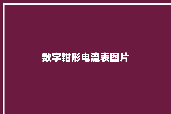 数字钳形电流表图片