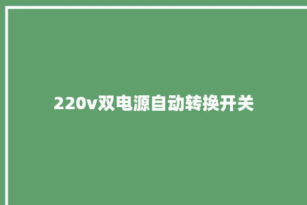 220v双电源自动转换开关