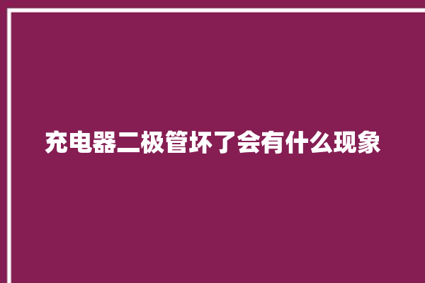 充电器二极管坏了会有什么现象