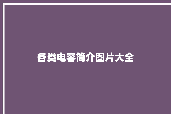 各类电容简介图片大全