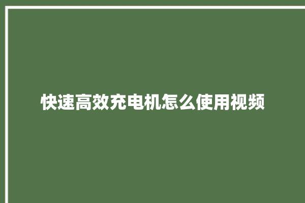 快速高效充电机怎么使用视频