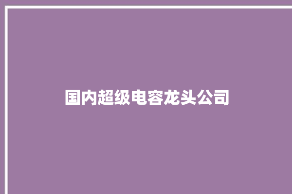 国内超级电容龙头公司