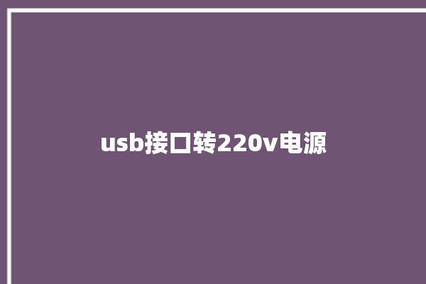 usb接口转220v电源