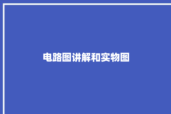 电路图讲解和实物图