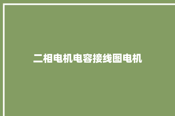 二相电机电容接线图电机