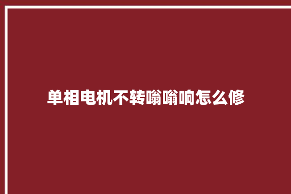 单相电机不转嗡嗡响怎么修