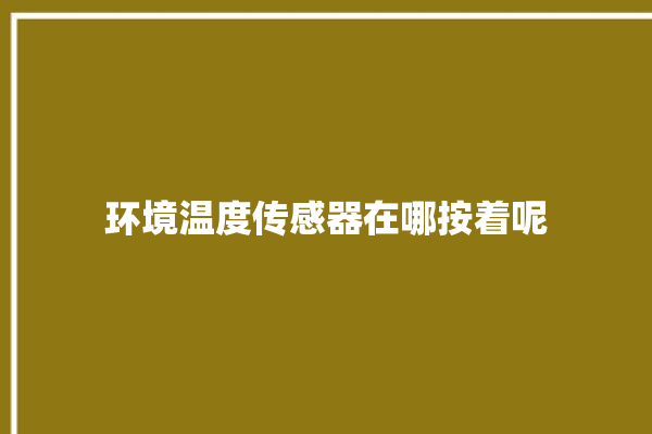 环境温度传感器在哪按着呢