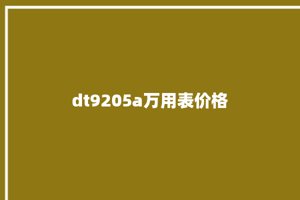 dt9205a万用表价格