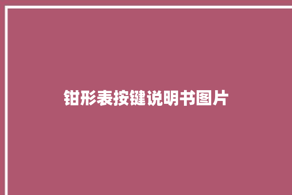 钳形表按键说明书图片