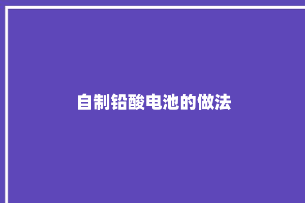 自制铅酸电池的做法